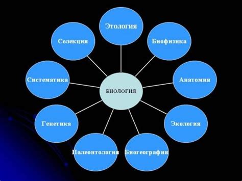 Значение биологии и примеры ее применения