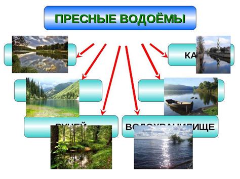 Значение водоемов 1 и 2 категории