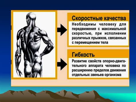 Значение двигательной активности в борьбе с современными заболеваниями