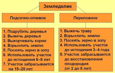 Значение двуполья в историческом контексте