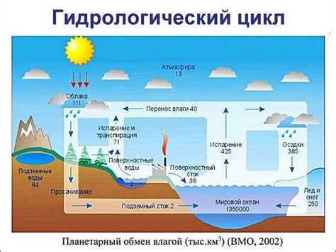 Значение и принцип работы гидрологического цикла