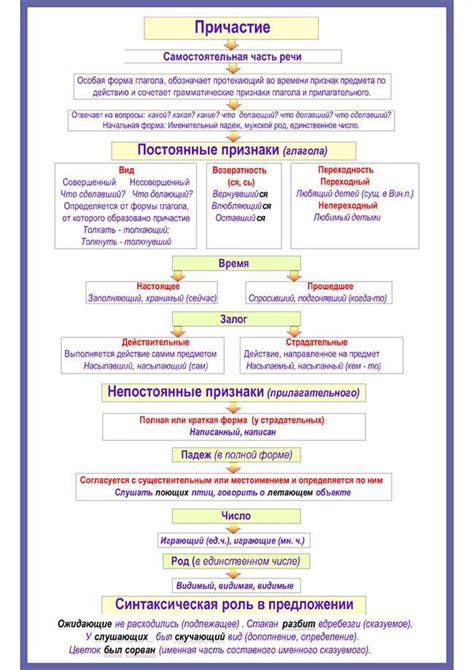 Значение и роль определяемого слова