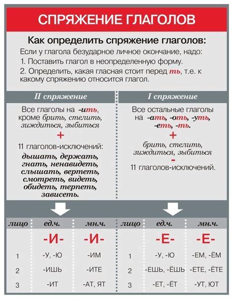 Значение и функции ся в глаголах