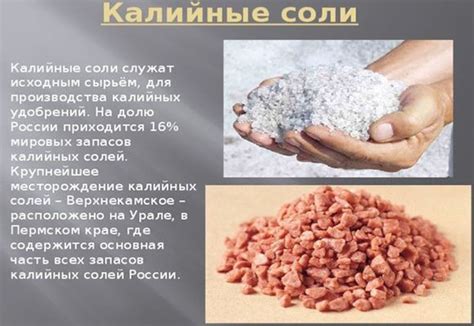 Значение калийной соли для организма