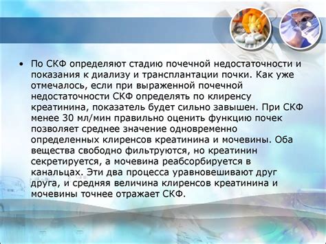 Значение клубочковой фильтрации для здоровья пожилых