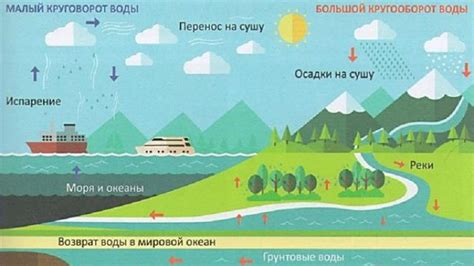 Значение круговорота воды для живых организмов