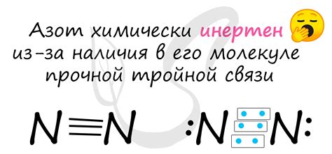 Значение массы молекулы азота N2 в реакциях