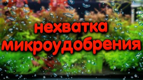 Значение микроудобрений в аквариуме