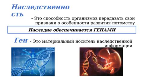 Значение наследственной субституции для развития организмов