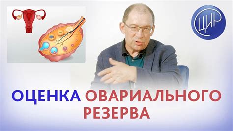 Значение овариального резерва для женщин