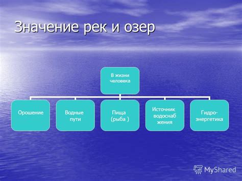 Значение океана в сюжете рассказа "Господин"