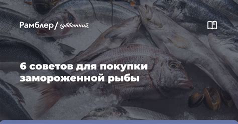 Значение покупки замороженной рыбы женщине во сне