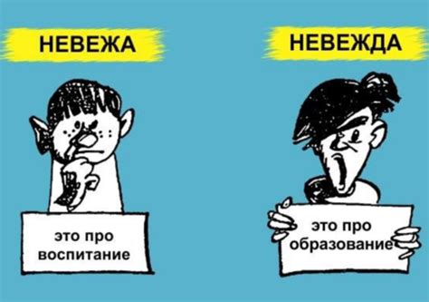 Значение понятий "невежа" и "невежда" для личной жизни