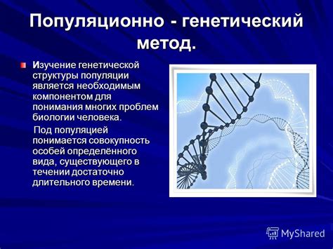 Значение редукции для генетической стабильности