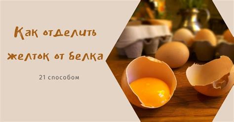 Значение серии белка в сыром яйце