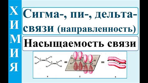 Значение сигма и пи связей в химии