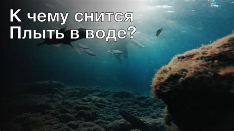 Значение сна о воде в реке