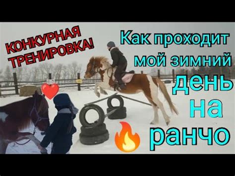 Значение сна о конюшне с лошадьми для женщин