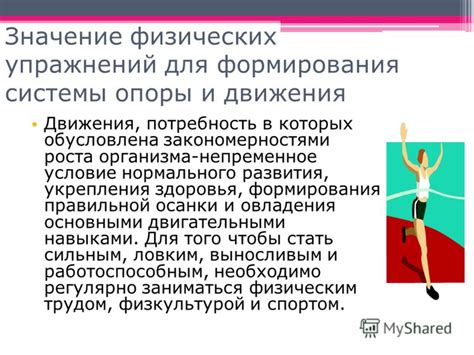 Значение физических упражнений для здоровья