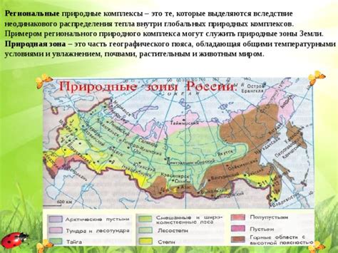 Зона происхождения и региональные особенности