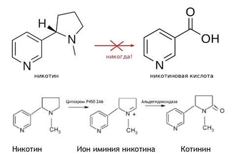 Избегание кофеина и никотина