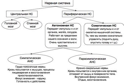 Изжога, нарушение сонного цикла и нервная система