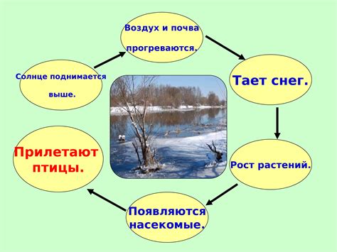 Изменение баланса в природе