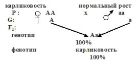 Изменения во втором поколении метчиков