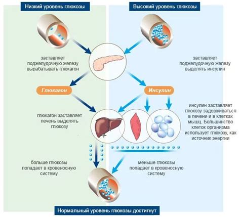 Изменения в уровне глюкозы в крови