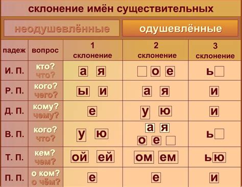 Изменения звуков при склонении и спряжении