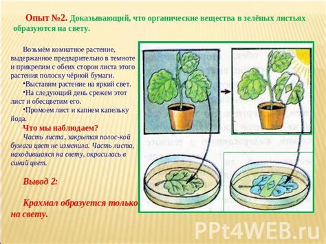 Изменится биология яка