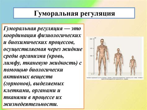 Измерение показателей основных функций организма