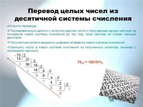 Изучите примеры и задачи по системе счисления в информатике