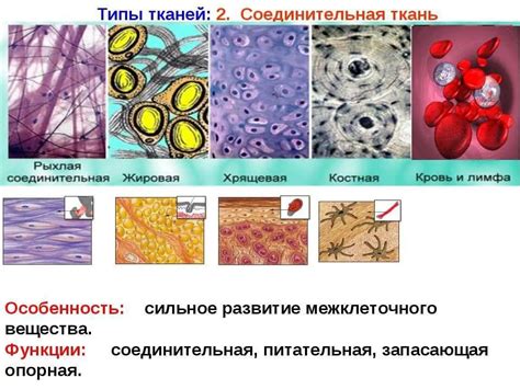 Изучите состав ткани