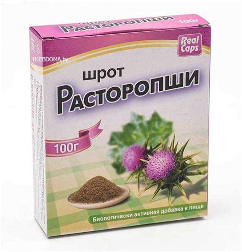 Из чего состоят шрот и жмых расторопши?