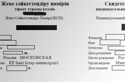 Иин и бин в Казахстане: основные понятия