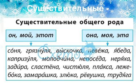 Имена существительные, их классификация и особенности употребления