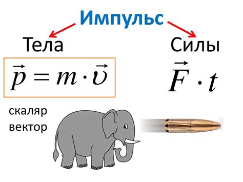 Импульс тела: основные понятия и принципы