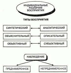 Индивидуальные различия в восприятии