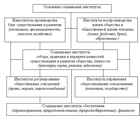 Институты и организации в общественных отношениях