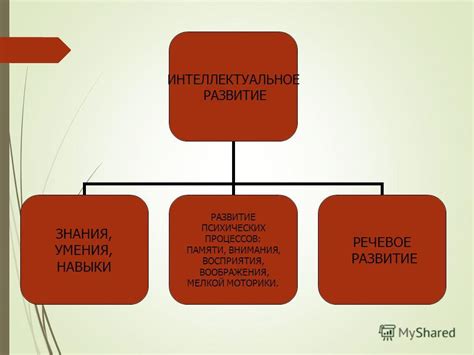 Интеллектуальное развитие