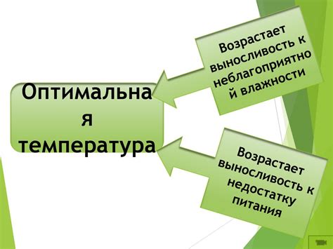 Интенсивность действия