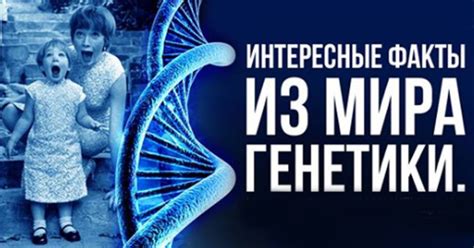 Интересные факты из мира генеалогии