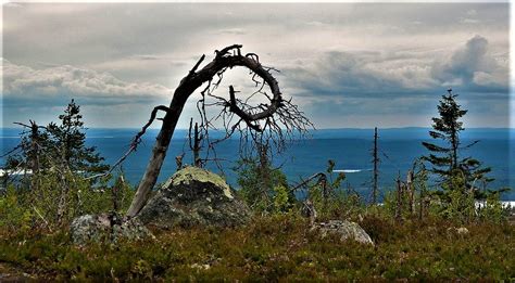 Интересные факты и легенды о карельской загадке