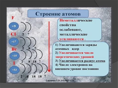 Использование атомов n и c в биологии