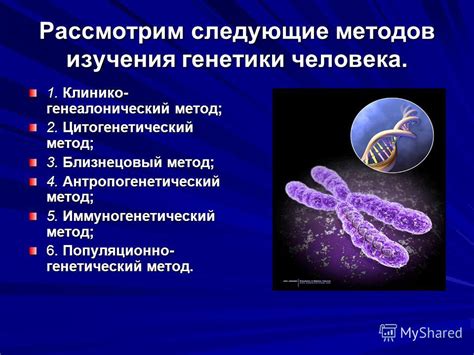 Использование близнецового метода в генетике