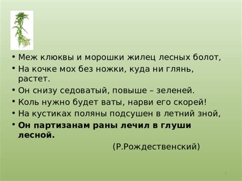 Использование болот в хозяйственной деятельности