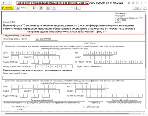 Использование сведений о трудовой деятельности