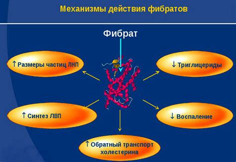 Использование фибратов