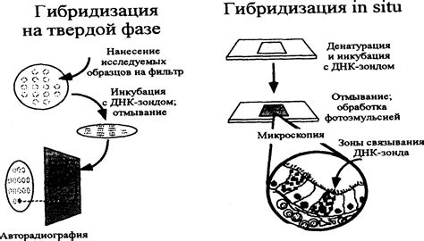 Использование MnOH2 в медицине